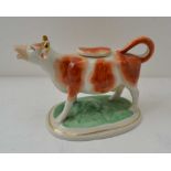A 19TH CENTURY STAFFORDSHIRE POTTERY COW CREMER, hand painted decoration with gilded horns, complete