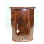 A 19TH CENTURY SMALL SIZED MAHOGANY HANGING CORNER CUPBOARD, having single cupboard door over two
