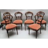 A SET OF SIX 19TH CENTURY WALNUT FRAMED DINING CHAIRS, having carved crest rail, over carved