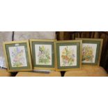 FOUR FLORAL WATERCOLOURS, each identically glazed, framed and mounted