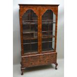 A 20TH CENTURY QUEEN ANNE DESIGN DISPLAY CABINET, having twin multi-bar glazed doors, revealing