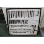 A FRAMED DISPLAY OF VINTAGE IRON NAILS together with a small biscuit tin containing other examples