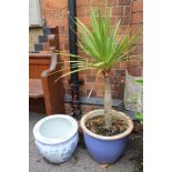 A BLUE & WHITE ORIENTAL PORCELAIN PLANTER together with a blue glazed stoneware planter containing a