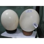 TWO OSTRICH EGGS