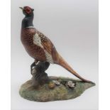 A ROYAL CROWN DERBY BONE CHINA MODEL PHEASANT hand painted by J Gould, standing 28cm high