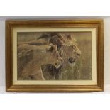 AFTER ALAN HUNT A signed limited edition canvas print of Male & Female Lions titled 'Beauty & the