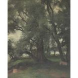 A PROBABLE SECOND QUARTER 20TH CENTURY CONTINENTAL SCHOOL OIL ON CANVAS of a woodland study, with