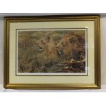 AFTER ALAN HUNT A signed limited edition coloured print depicting Male & Female lions in the