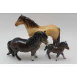 A BESWICK SHETLAND PONY & FOAL together with a highland pony (3)