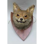 A SNARLING FOX MASK on wooden shield back, approx 33cm deep