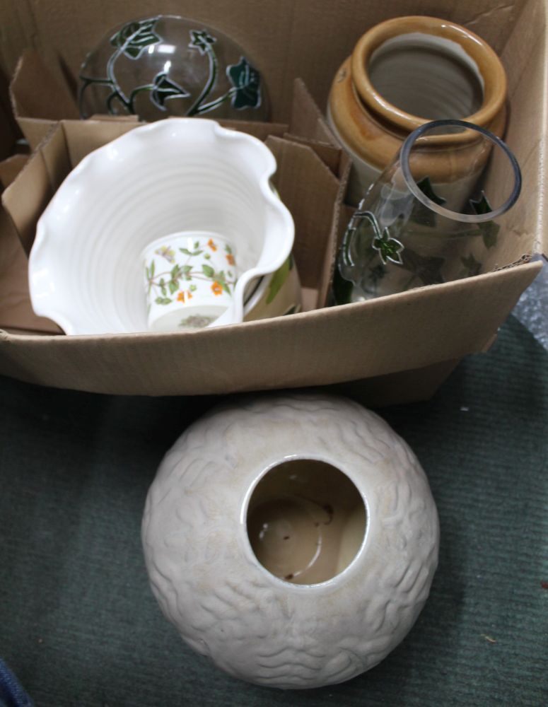 A BOX CONTAINING TWO PIECES OF IVY DECORATED GLASS and other domestic pottery