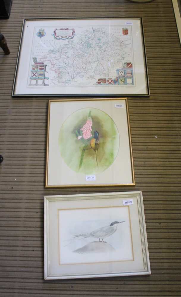 A REPRODUCTION COLOURED MAP OF WARWICKSHIRE, together with a watercolour study of a humming bird and