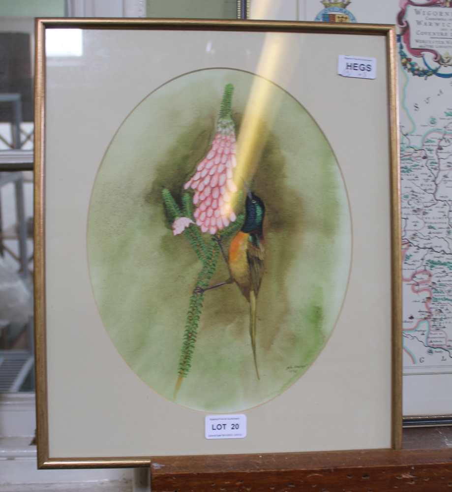 A REPRODUCTION COLOURED MAP OF WARWICKSHIRE, together with a watercolour study of a humming bird and - Image 6 of 6