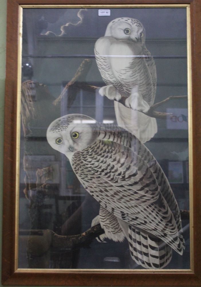 A LITHOGRAPHIC PRINT DEPICTING TWO OWLS ON A TREE STUMP glazed in a maple effect frame - Image 2 of 2