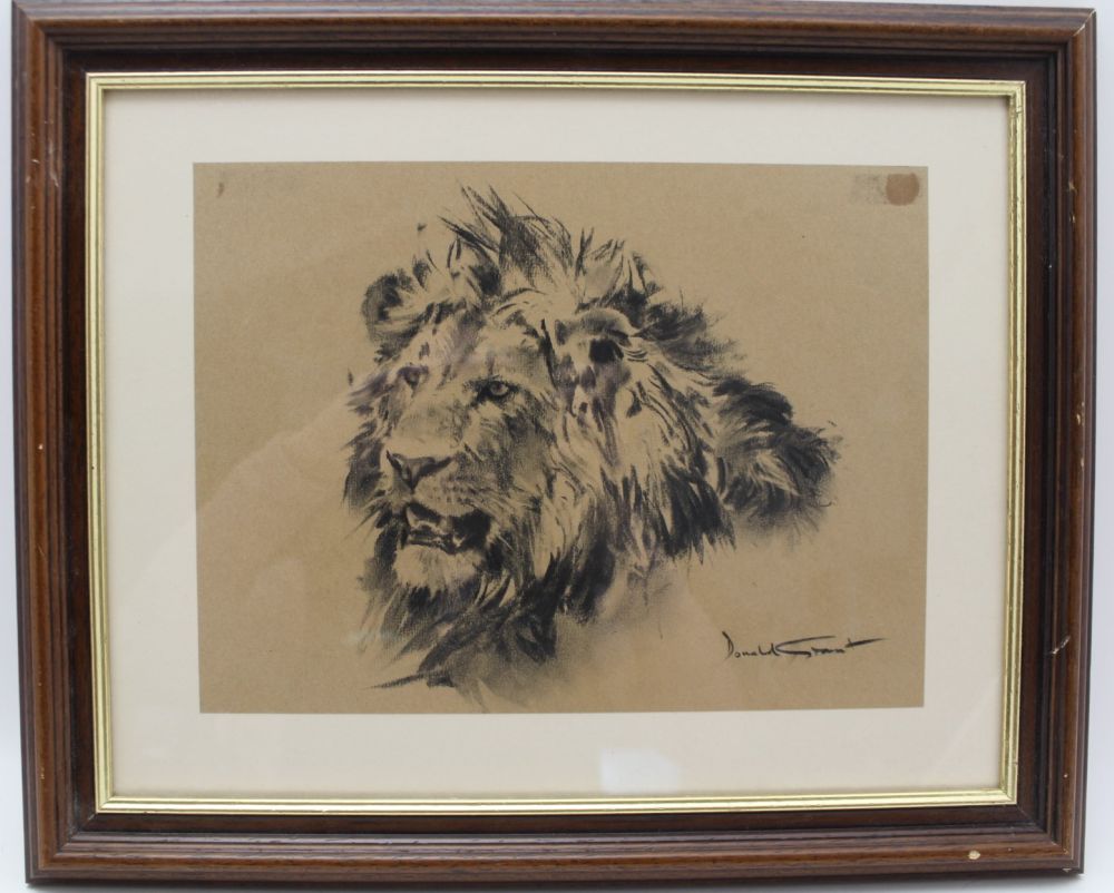 DONAL GRANT MBE (1924-2001) 'Study of a Lion', charcoal drawing, 20.5cm x 27.5cm, signed, framed,