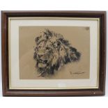 DONAL GRANT MBE (1924-2001) 'Study of a Lion', charcoal drawing, 20.5cm x 27.5cm, signed, framed,