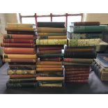 A quantity of various novels, including Les Miserables, Gullivers Travels, Pride and Prejudice,