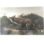Two framed engravings by C.G. Lewis of R.A. Landseer paintings titled ‘The Poacher’ and ‘Not