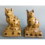 A pair of early 19th century slipware seated cats, yellow with brown markings, on rectangular