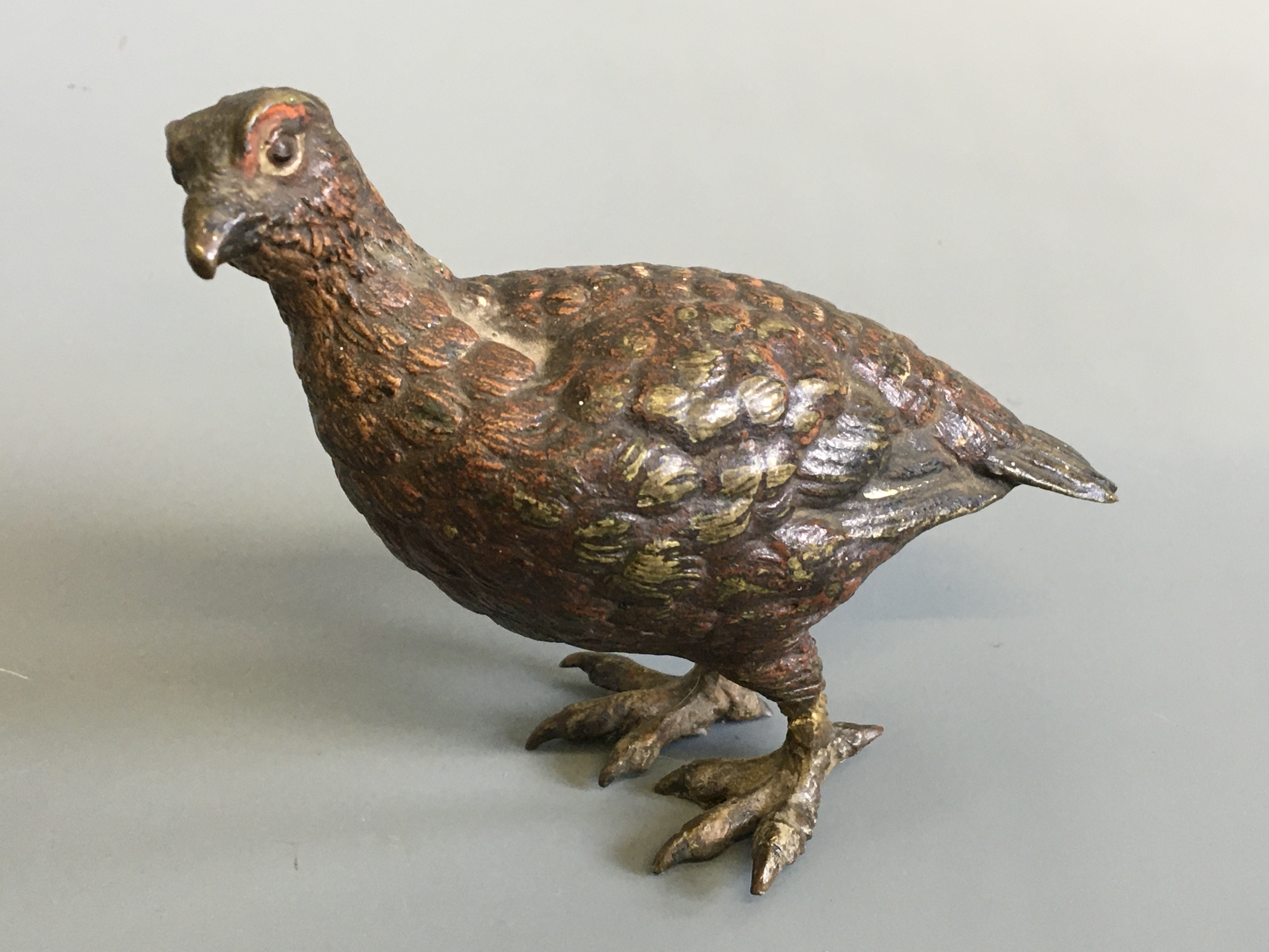 A cold painted bronze grouse, after Franz Bergman, 9cm x 9cm, damage to legs and feet. IMPORTANT: