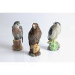 A Royal Doulton Whyte & Mackay Scotch Whisky Buzzard, Merlin and Peregrine Falcon. IMPORTANT: Online