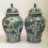 A pair of large Chinese blue and white lidded ginger jars, decorated with underwater fish designs