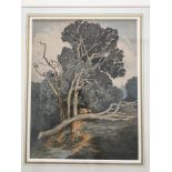 Framed, watercolour on paper, trees by a river, label 'J. S. Cotman' verso, 29cm x 21cm.