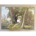 Three framed, signed watercolour on paper, one by James Aitken, woodland patch, one by P.R. Mewburn,