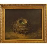 ABDL HOLD. Framed, signed, oil on canvas, still life of birds nest, 23cm x 29cm. IMPORTANT: