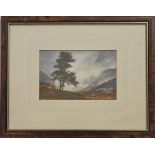 W. SIMPSON CLOWE. Framed, signed and titled ‘Head of the Glen’, watercolour on paper, tree before
