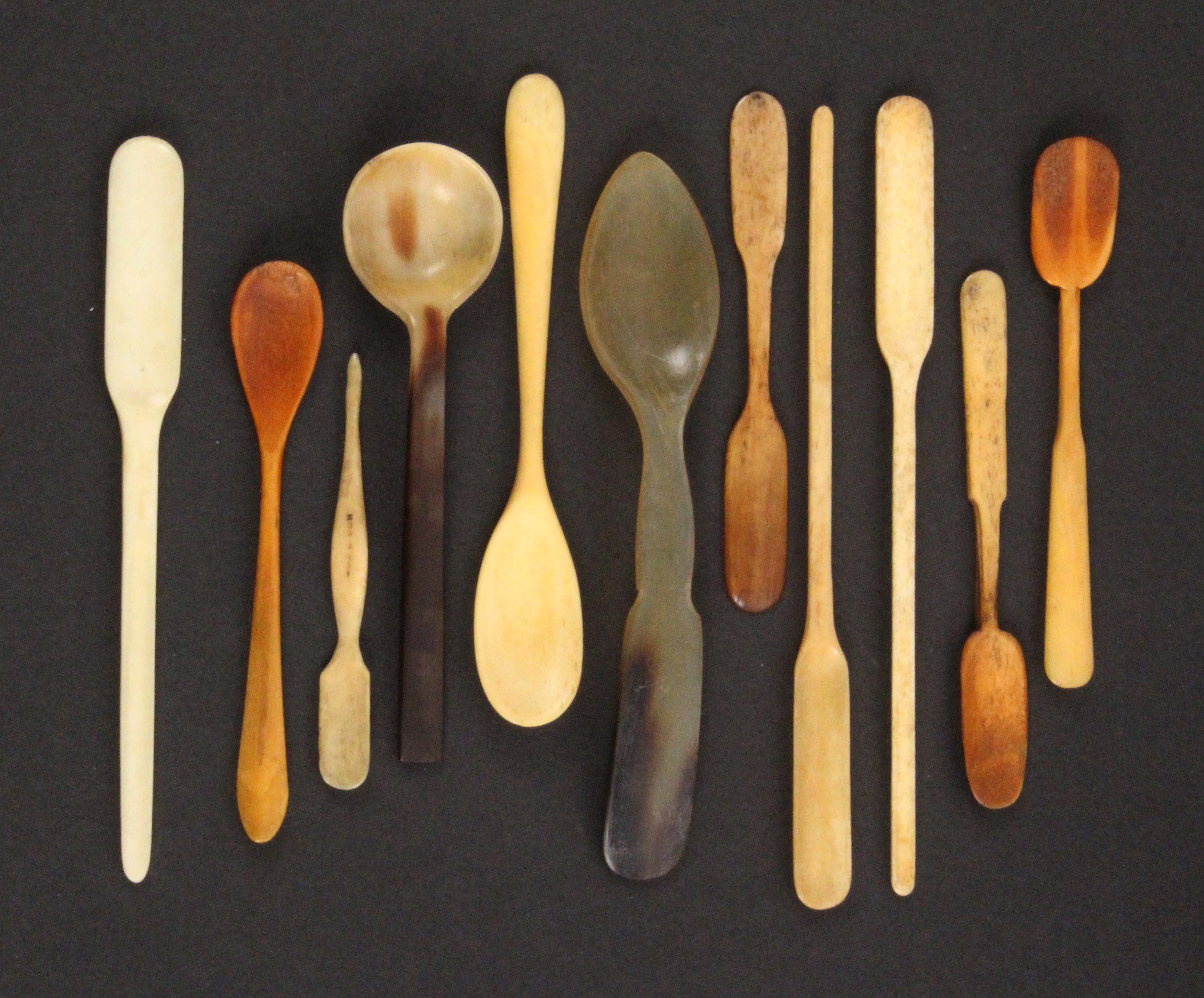 A collection of bone and horn spoons, comprising a horn example the reverse of the circular bowl