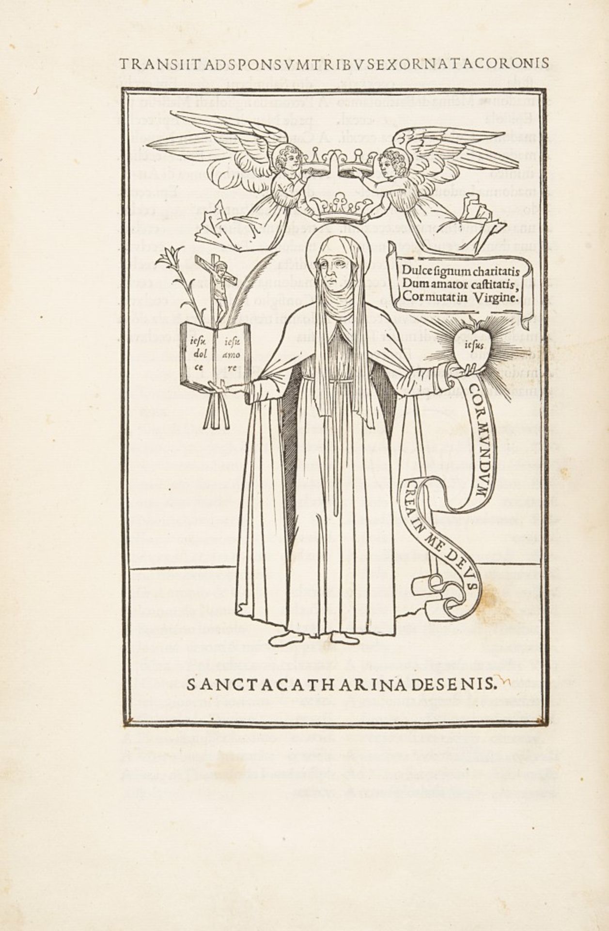 Caterina da Siena Epistole devotissime de sancta Catharina da Siena. 