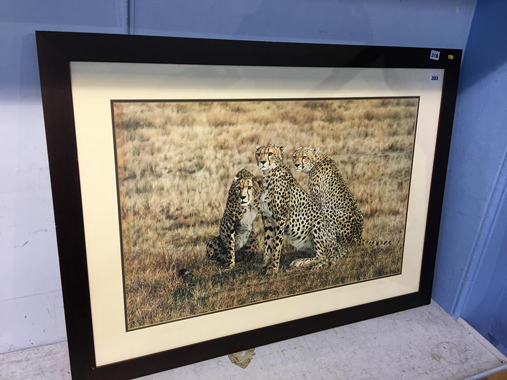 Print, after Simon Combes, 'Leopards'