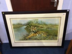 Print after David Shepherd, 'Tiger in the Sun', 245/850, signed in pencil