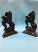 Pair of cast iron Lion door stops