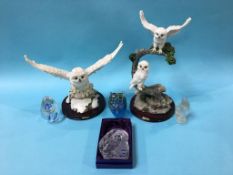 A boxed Edinburgh crystal owl, two owl sculptures and three paperweights