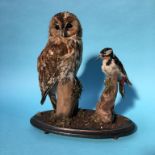 Taxidermy; Owl and a Woodpecker, 39cm height