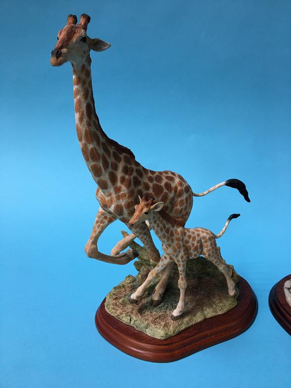 Two Border Fine Arts figures; spaniels and giraffes - Image 3 of 4