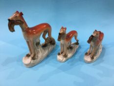 Three Staffordshire greyhounds