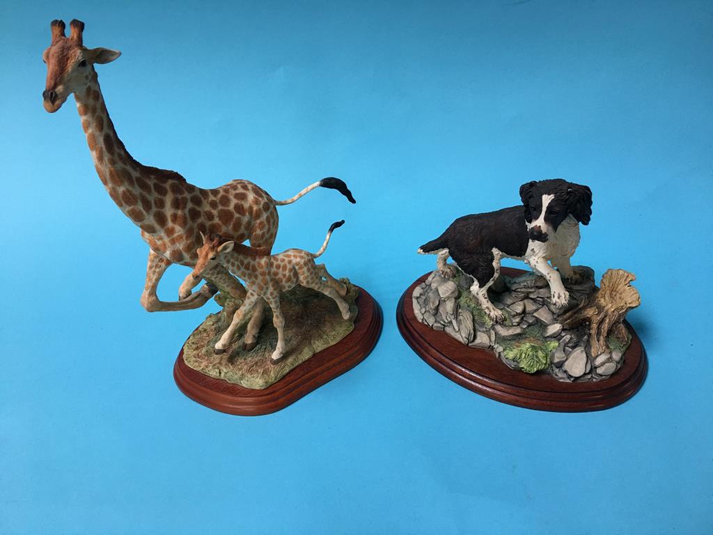 Two Border Fine Arts figures; spaniels and giraffes