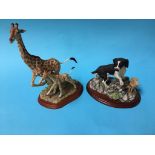 Two Border Fine Arts figures; spaniels and giraffes