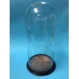 A large glass dome on wooden base, glass 55cm high