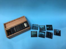 A collection of glass slides