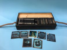 A collection of glass slides