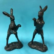 A pair of leaping hares