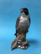 A Royal Doulton 'Peregrine Falcon'