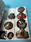 A collection of Merchant Navy badges and epaulettes