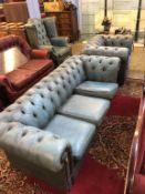 A Chesterfield blue leather three seater settee and club armchair