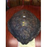 An unworked green sea Turtle shell, circa 1900, with CITES certificate, 66cm long
