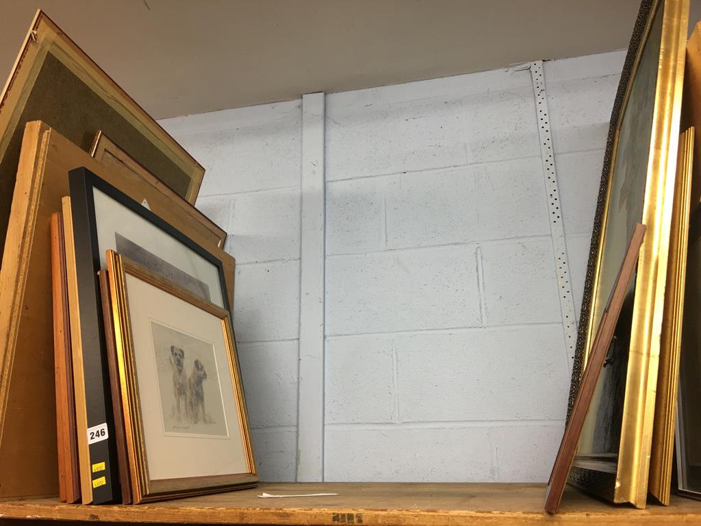 Assorted pictures and prints on one shelf